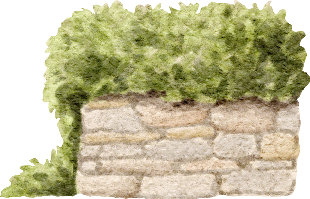 Old stone fence with greenery watercolour illustration