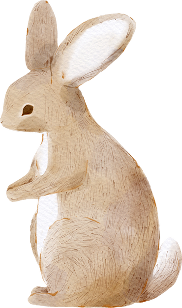 White watercolour cute bunny